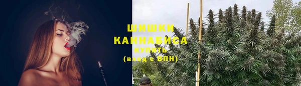 прущие грибы Алексеевка