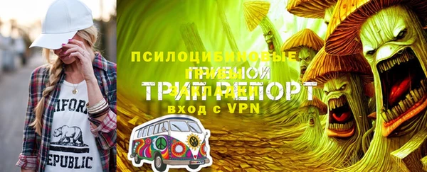 прущие грибы Алексеевка