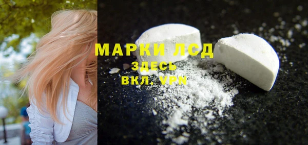 винт Алзамай